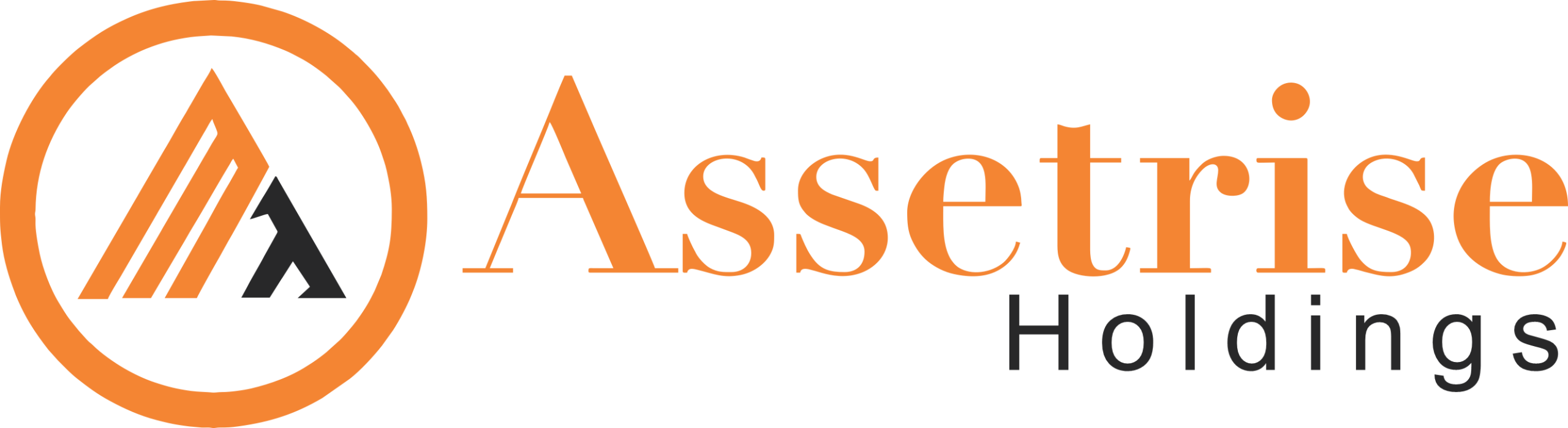Assetrise Holding